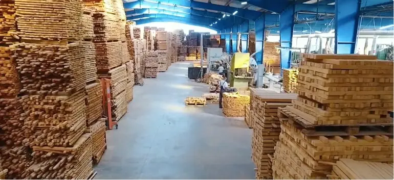 Our Process