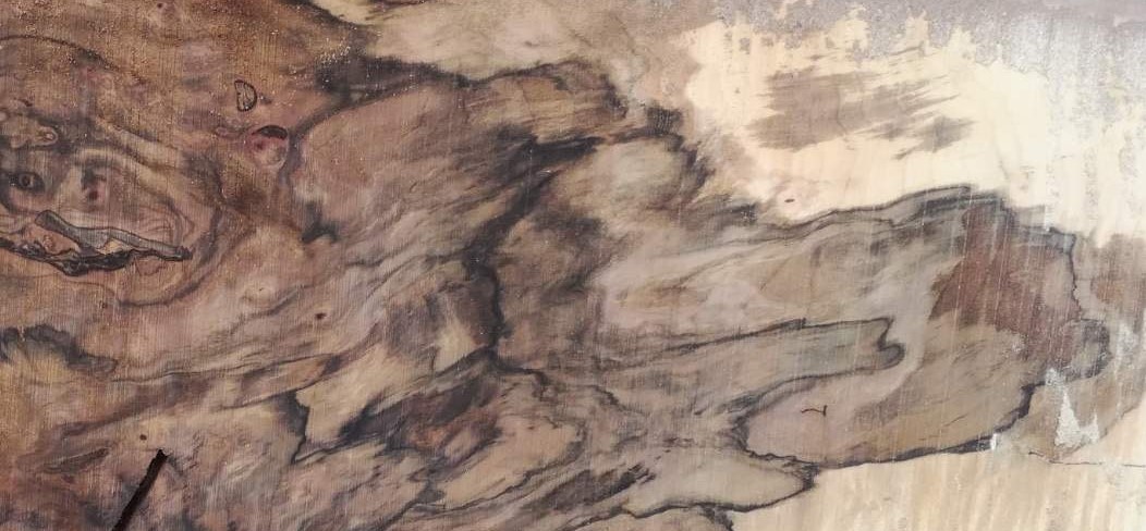 solid walnut slab