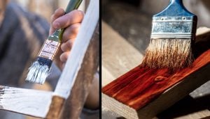 paint or stain wood